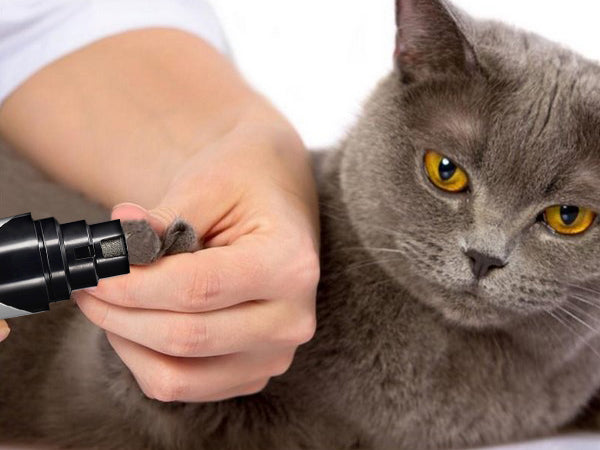 Does our nail grinder also work for cats?