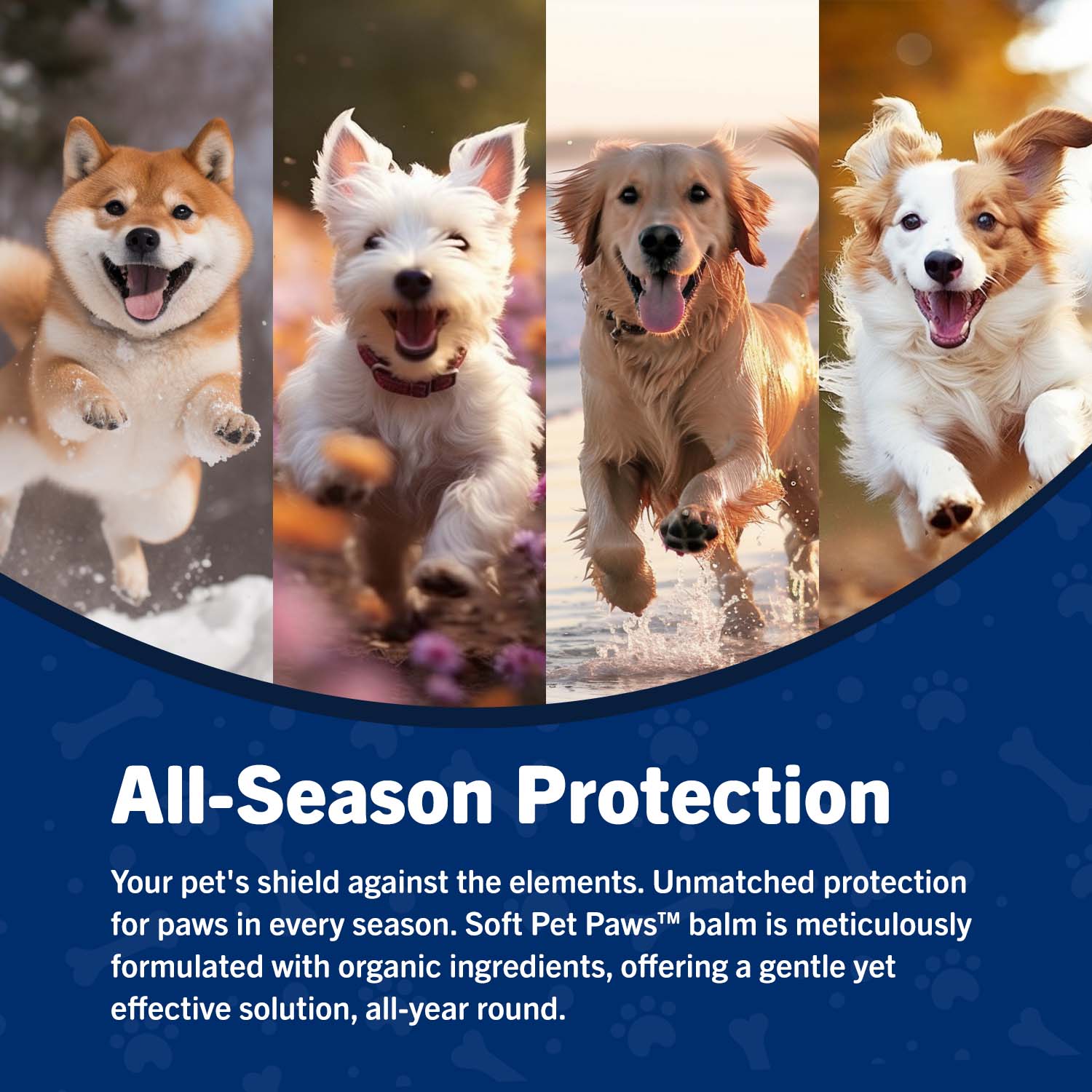 Organic Paw Balm for dry paws - all season protection