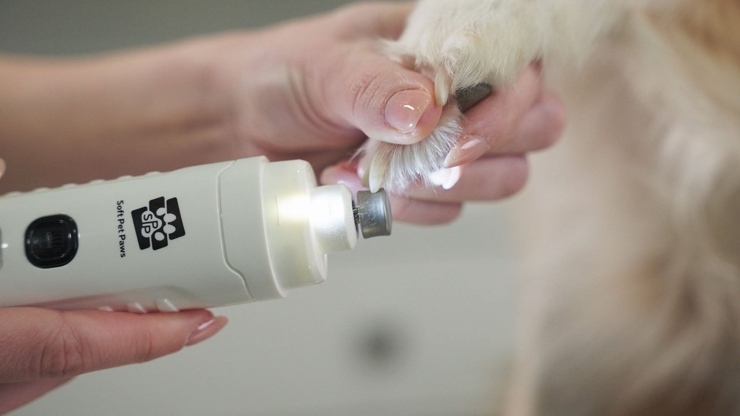 professional dog nail trimmer