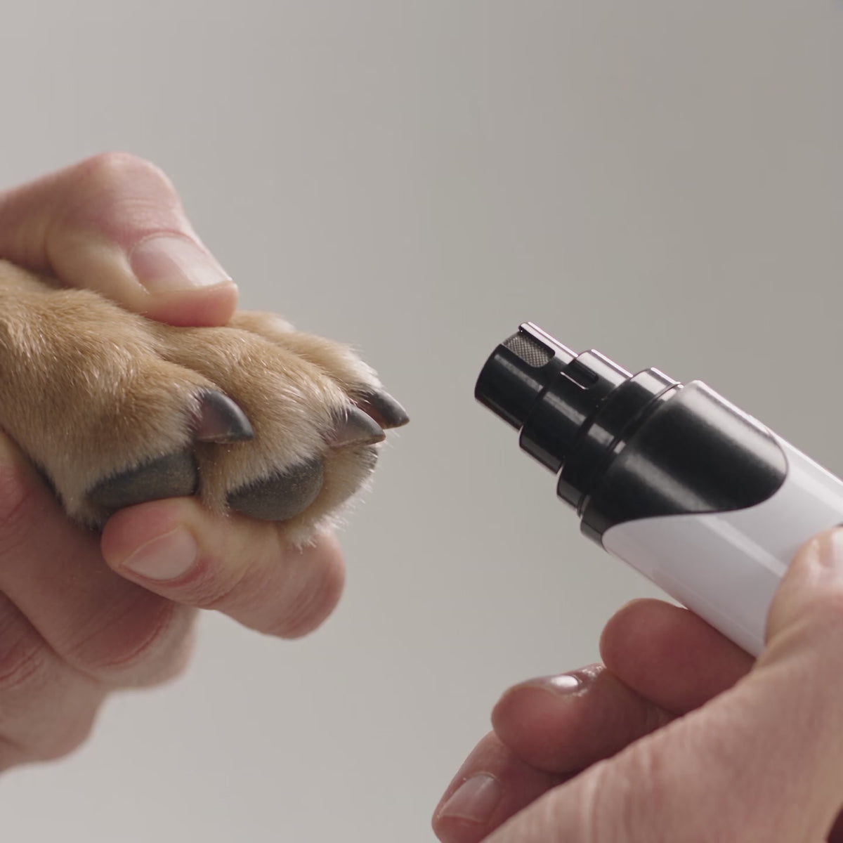 Load video: Soft Pet Paws quiet dog nail grinder in use