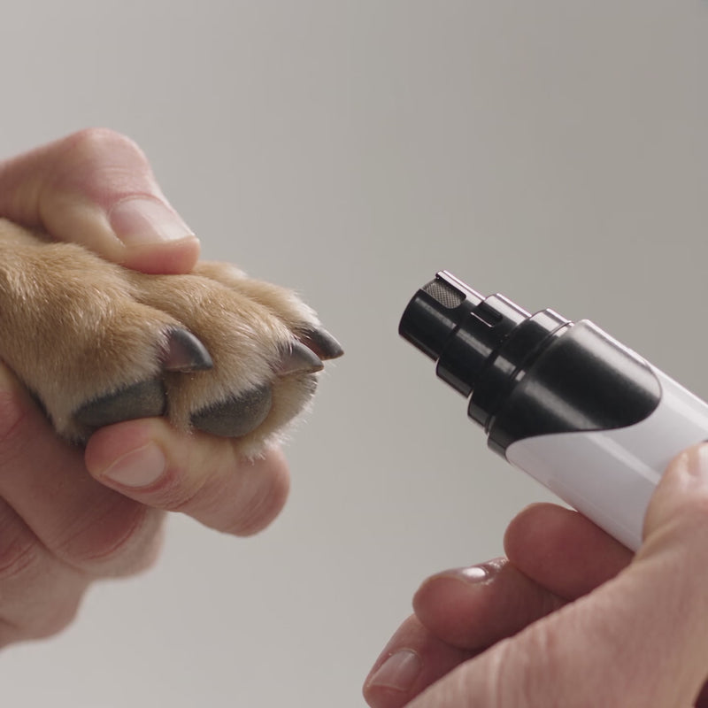 Soft Pet Paws quiet dog nail grinder in use