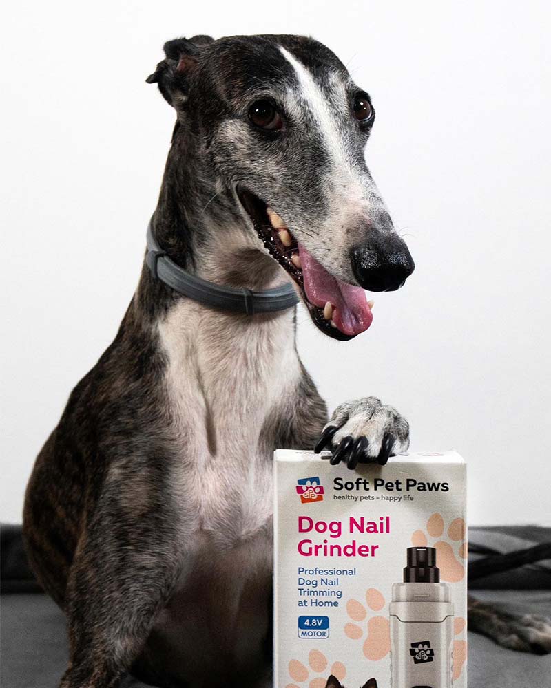 nail grinder for large dogs