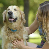 CalmDog™ - Humane Bark Collar - Soft Pet Paws